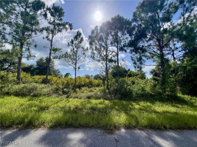 Beach Lot For Sale in Port Charlotte, Florida