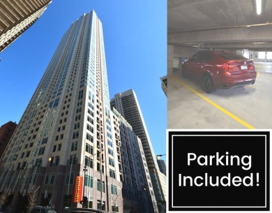 Beach Condo For Sale in Chicago, Illinois