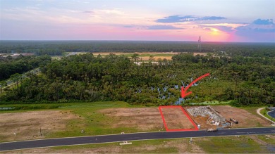 Beach Lot For Sale in Flagler Beach, Florida