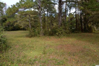 Beach Commercial For Sale in Sunset Beach, North Carolina