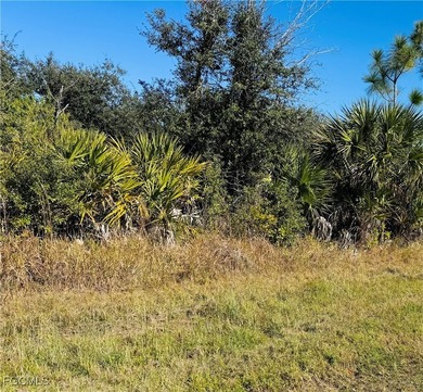 Beach Lot For Sale in Port Charlotte, Florida