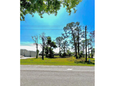 Beach Lot For Sale in Rotonda West, Florida