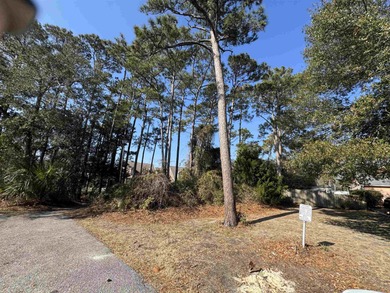 Beach Lot For Sale in North Myrtle Beach, South Carolina