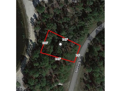 Beach Lot For Sale in Lehigh Acres, Florida