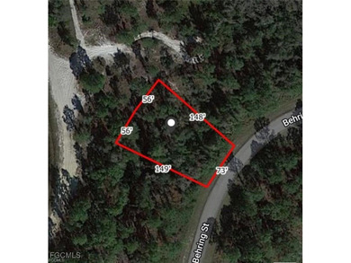 Beach Lot For Sale in Lehigh Acres, Florida