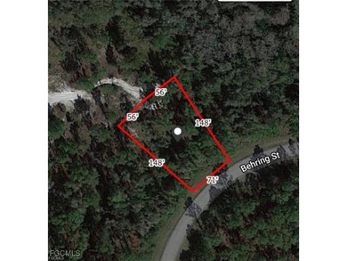 Beach Lot For Sale in Lehigh Acres, Florida