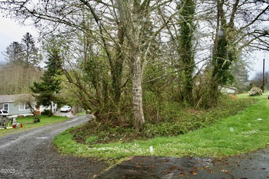 Beach Lot For Sale in Neotsu, Oregon