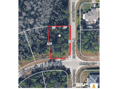 Beach Lot For Sale in Lehigh Acres, Florida
