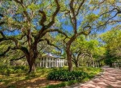 Beach Lot For Sale in Santa Rosa Beach, Florida