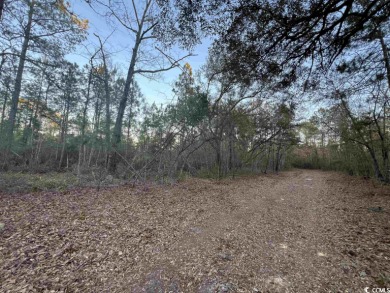 Beach Acreage For Sale in Georgetown, South Carolina