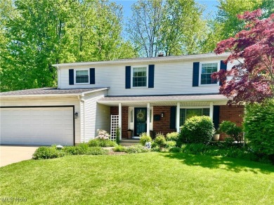 Beach Home For Sale in Mentor, Ohio
