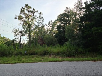 Beach Lot Off Market in Homosassa, Florida