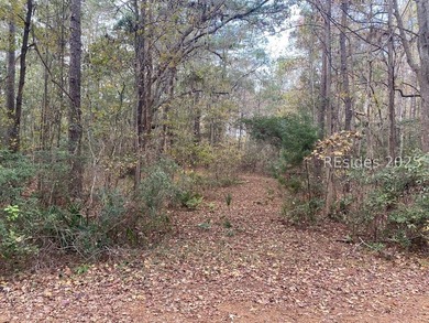 Beach Lot For Sale in Okatie, South Carolina