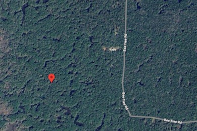 Beach Acreage For Sale in Gulf Hammock, Florida