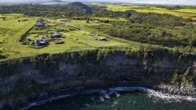 Beach Acreage For Sale in Haiku, Hawaii