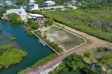 Beach Lot For Sale in Placencia, 