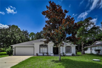 Beach Home For Sale in Palm Coast, Florida