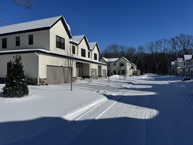 Beach Condo For Sale in Holland, Michigan