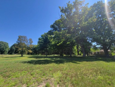 Beach Lot Off Market in Bear Lake, Michigan