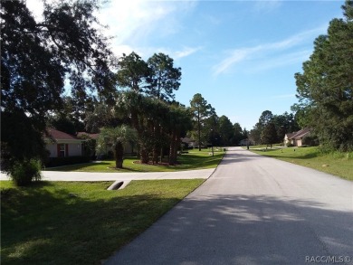 Beach Lot For Sale in Homosassa, Florida