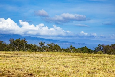 Beach Acreage For Sale in Makawao, Hawaii