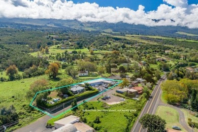 Beach Home For Sale in Kula, Hawaii