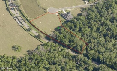 Beach Acreage For Sale in Port Orange, Florida