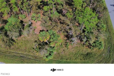 Beach Lot For Sale in Port Charlotte, Florida