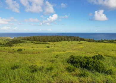 Beach Home For Sale in Haiku, Hawaii