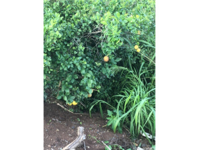 Beach Commercial For Sale in Waipahu, Hawaii