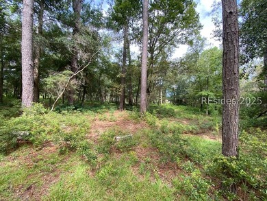 Beach Lot For Sale in Daufuskie Island, South Carolina