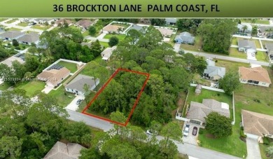 Beach Lot Sale Pending in Palm Coast, Florida