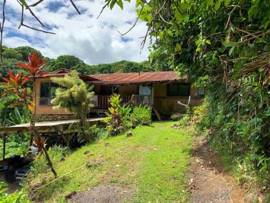 Beach Home For Sale in Haiku, Hawaii