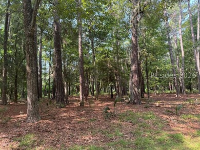 Beach Lot For Sale in Daufuskie Island, South Carolina