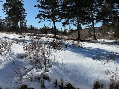 Beach Acreage For Sale in Kingsburg, NS