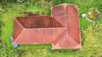 Beach Home For Sale in Pahoa, Hawaii