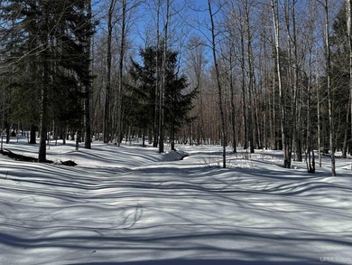 Beach Acreage Active Under Contract in Skanee, Michigan