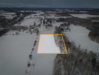 Beach Acreage For Sale in Shelby, Michigan