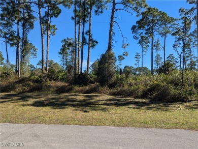 Beach Lot For Sale in Lehigh Acres, Florida