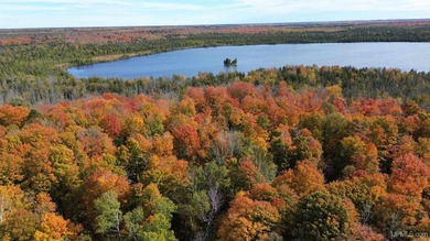 Beach Acreage For Sale in Gulliver, Michigan