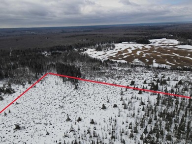 Beach Acreage For Sale in Baraga, Michigan