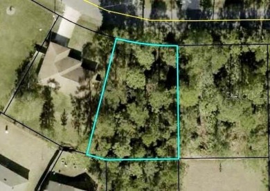 Beach Lot Sale Pending in Palm Coast, Florida