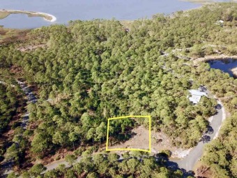 Beach Lot For Sale in Sopchoppy, Florida