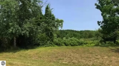 Beach Lot Off Market in Cedar, Michigan