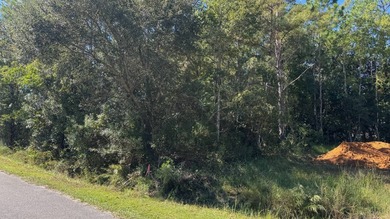 Beach Lot For Sale in Ocean Springs, Mississippi