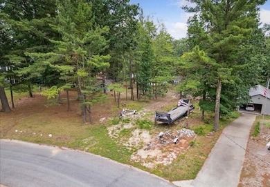 Beach Lot For Sale in Mears, Michigan