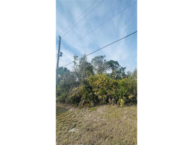 Beach Lot Sale Pending in Rotonda West, Florida