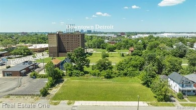 Beach Lot For Sale in Detroit, Michigan