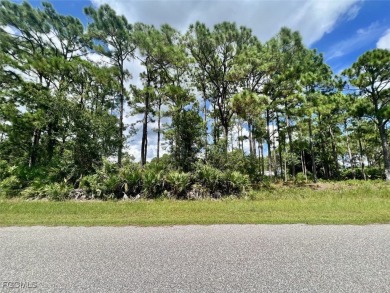 Beach Lot For Sale in Port Charlotte, Florida