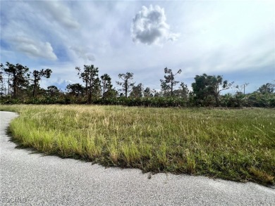 Beach Lot For Sale in Placida, Florida